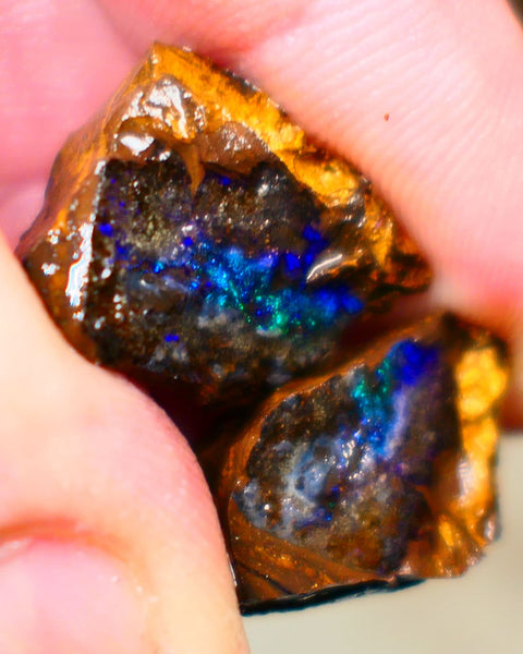 Winton Boulder opal rough split pair Ironstone host 33.00cts Stunning Gorgeous Blue fires 16x14x11mm & 21x12x11mm Auction67