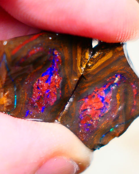 Winton Boulder opal rough split pair Ironstone host 36.00cts Stunning Very Bright Blue fires 18x16x7mm & 19x16x7mm Auction66