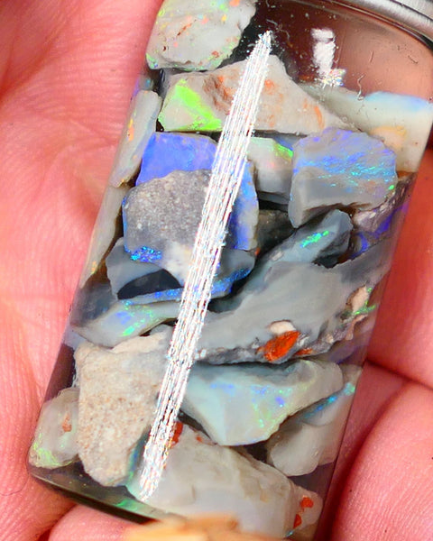 Lightning Ridge Rough Opal Small seams 51cts Dark base Multicolours 14mm to chip size range Auction73