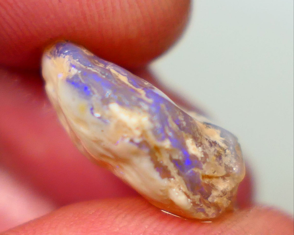 Lightning Ridge Rough Opal 11.25cts Dark Base Crystal Gamble Knobby blue dominant fires with flashes of yellows 18x14x7mm Auction80