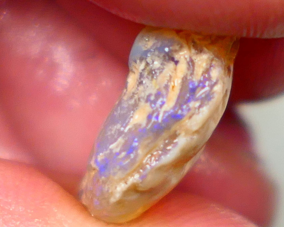 Lightning Ridge Rough Opal 11.25cts Dark Base Crystal Gamble Knobby blue dominant fires with flashes of yellows 18x14x7mm Auction80