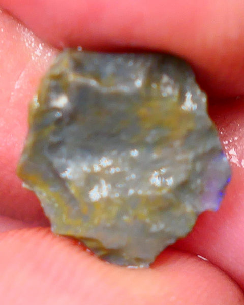 Lightning Ridge Rough knobby Opal 3.60cts Bight Blue colours to expose & explore 14x12x4mm Auction88