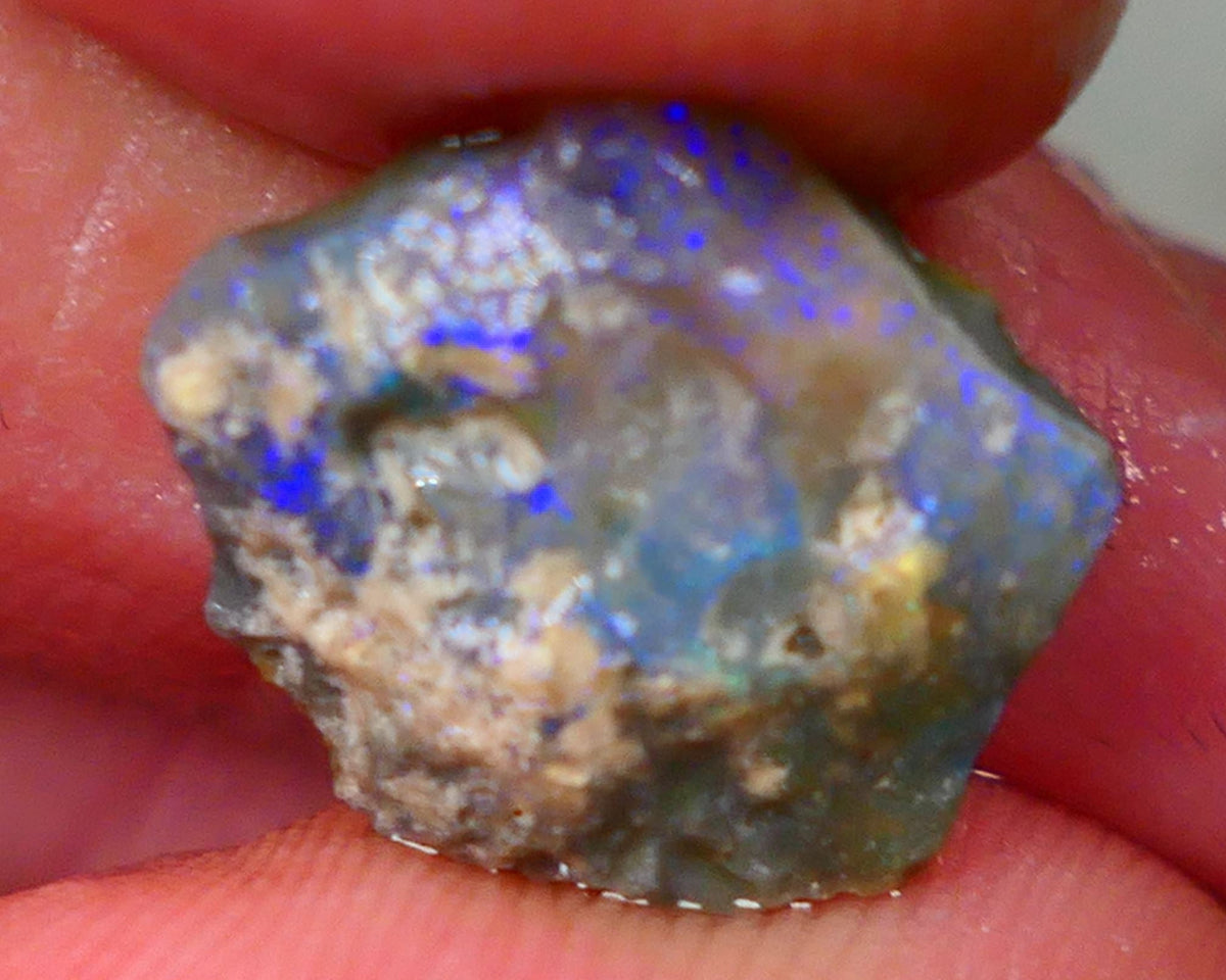 Lightning Ridge Rough knobby Opal 3.60cts Bight Blue colours to expose & explore 14x12x4mm Auction88