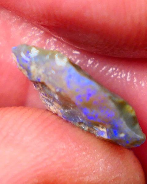 Lightning Ridge Rough knobby Opal 3.60cts Bight Blue colours to expose & explore 14x12x4mm Auction88