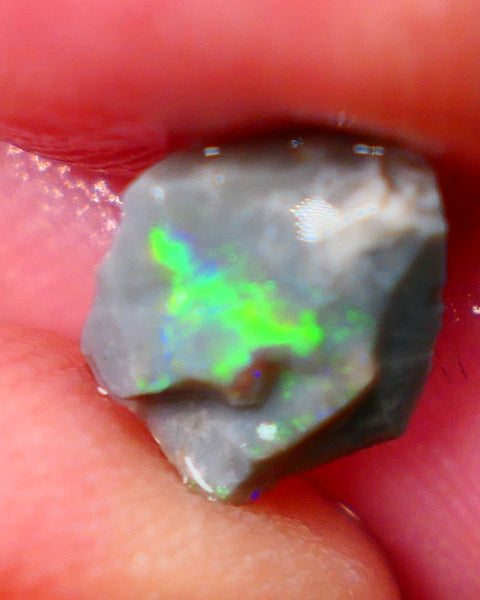 Lightning Ridge Rough Opal Small size Bright Dark Base Seam 1.60Cts Super Bright Multifires 10x7x3mm Auction85