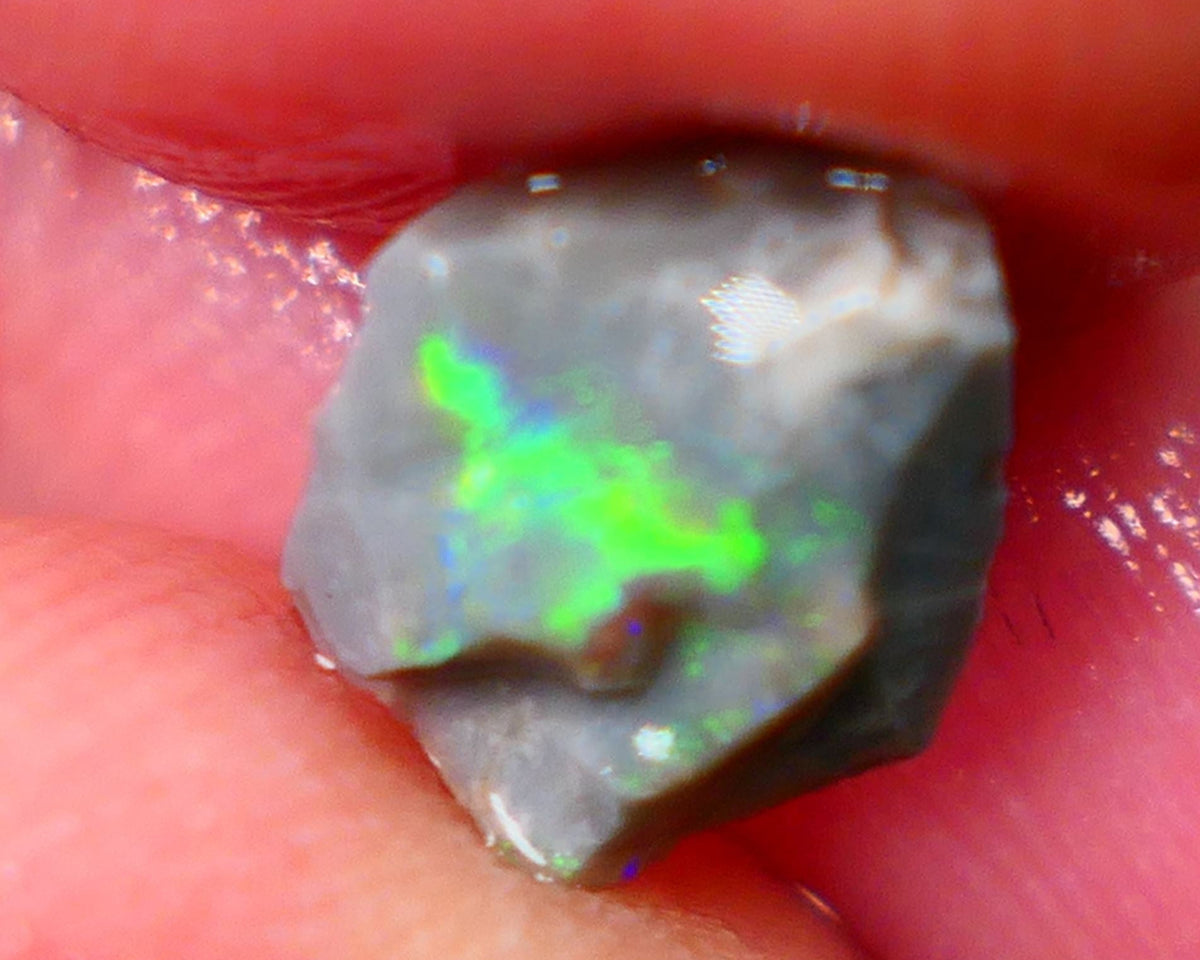 Lightning Ridge Rough Opal Small size Bright Dark Base Seam 1.60Cts Super Bright Multifires 10x7x3mm Auction85