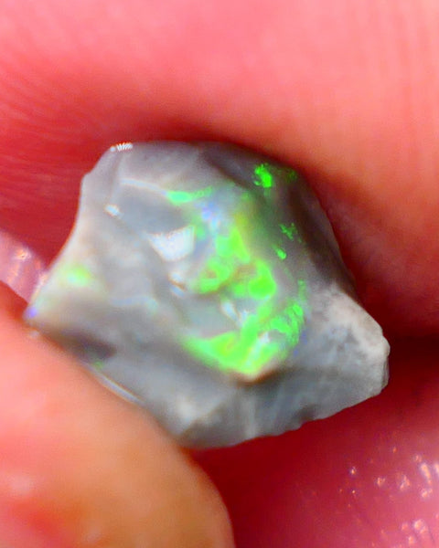 Lightning Ridge Rough Opal Small size Bright Dark Base Seam 1.60Cts Super Bright Multifires 10x7x3mm Auction85