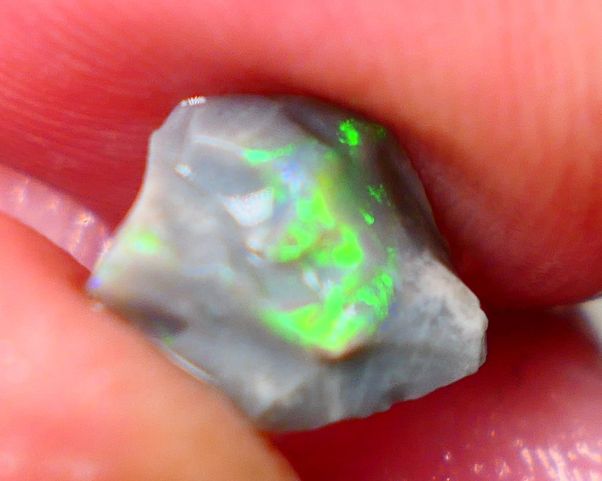 Lightning Ridge Rough Opal Small size Bright Dark Base Seam 1.60Cts Super Bright Multifires 10x7x3mm Auction85