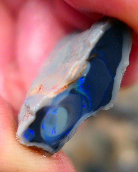 Lightning Ridge Rough Opal half of a black centered knobby split 23.00cts Showing Blue fires Maybe a Picture stone? 24x20x9mm Auction106