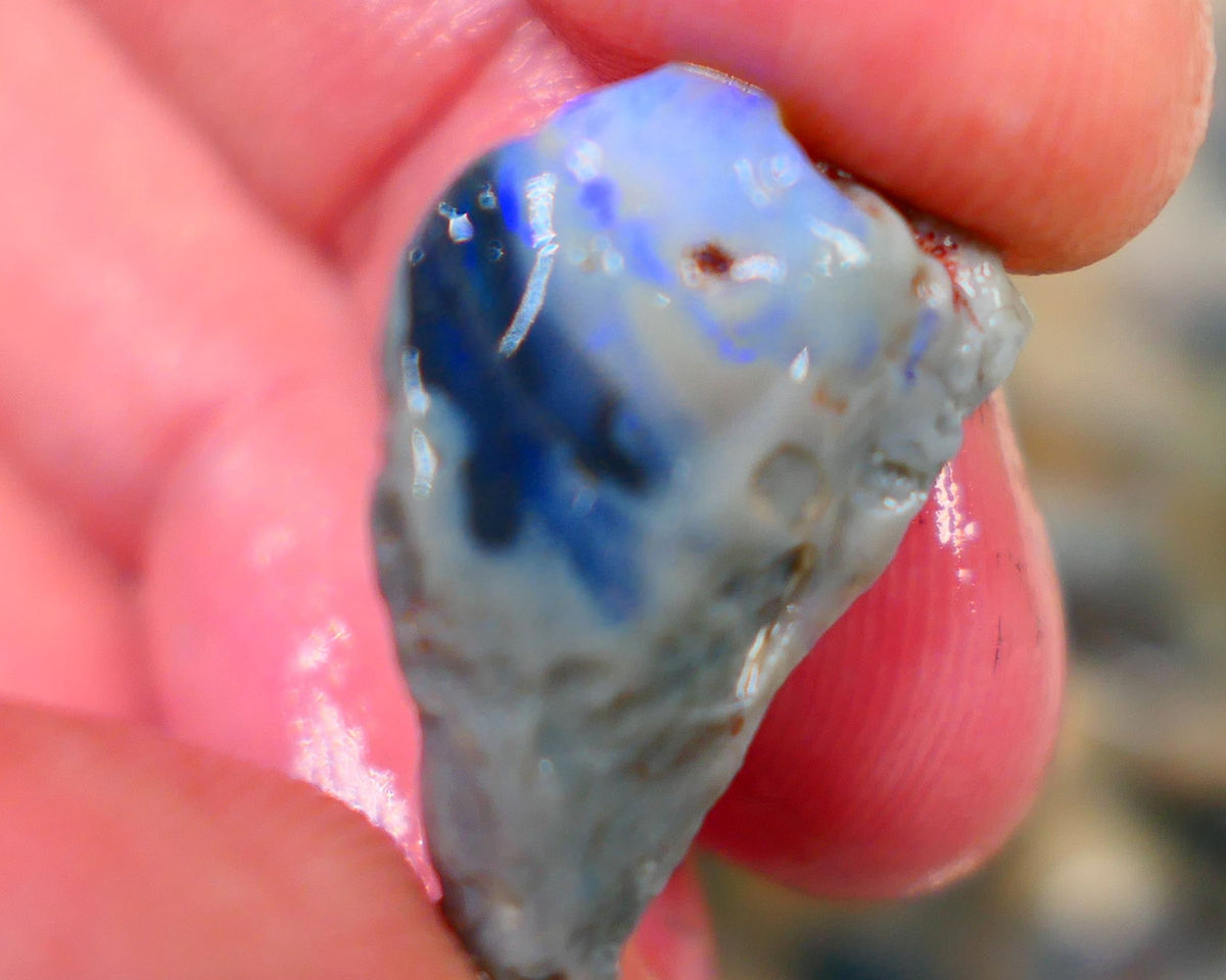 Lightning Ridge Rough Opal half of a black centered knobby split 15.00cts Showing Blue fires Maybe a Picture stone? 24x13x9mm Auction103