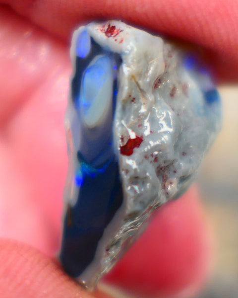 Lightning Ridge Rough Opal half of a black centered knobby split 15.00cts Showing Blue fires Maybe a Picture stone? 24x13x9mm Auction103