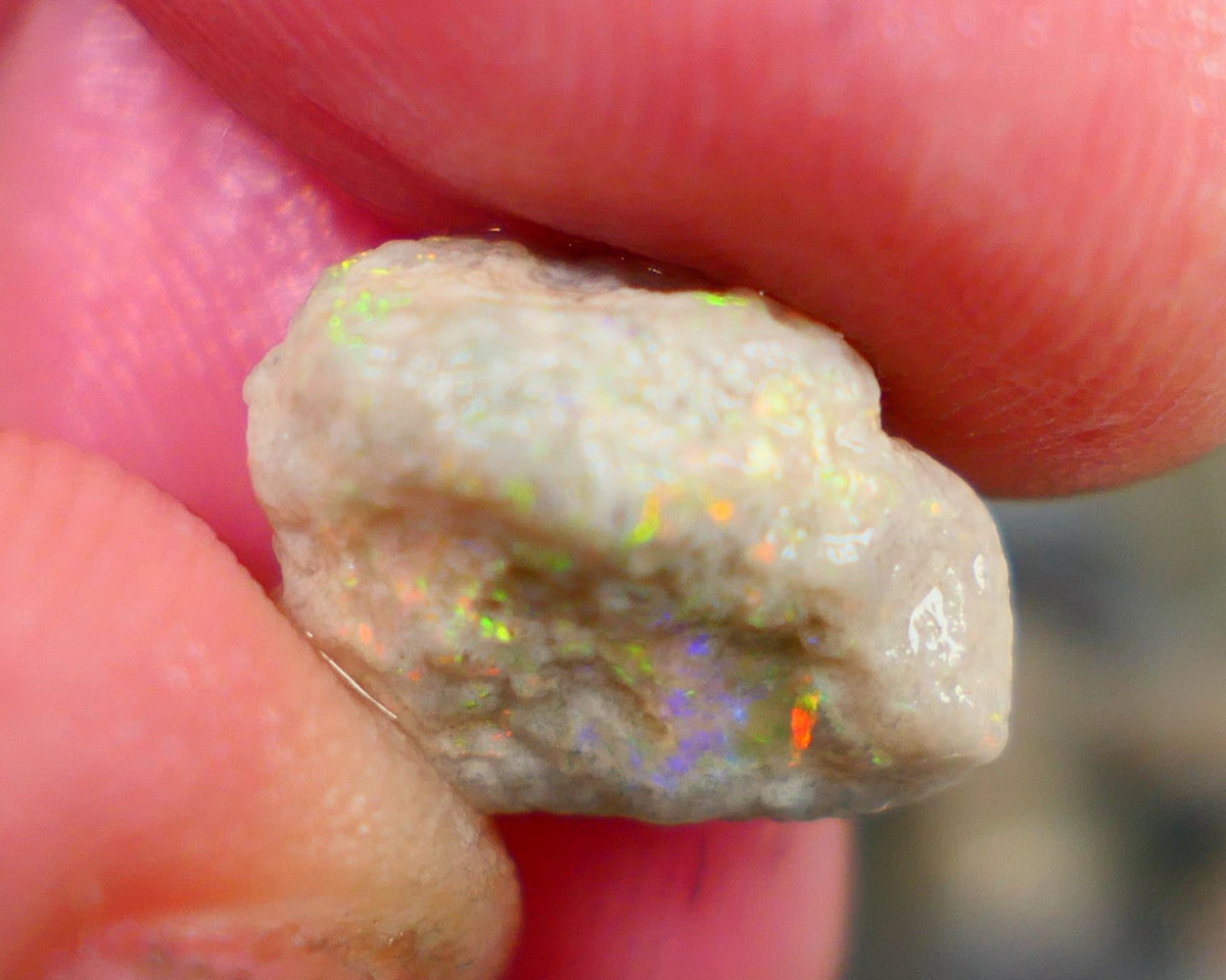 Lightning Ridge Crystal Knobby Rough Opal formation 5.75cts Small sized But Packing Bright Vibrant Multicolours sold as Gamble 14x11x9mm Auction99