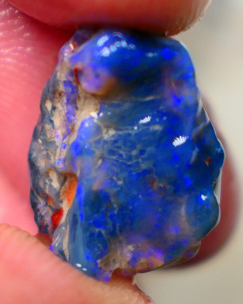 Lightning Ridge Rough Black Knobby opal fresh from the wash 9.00cts Showing Bright & Vibrant Blue fires 17x10x8mm Auction128