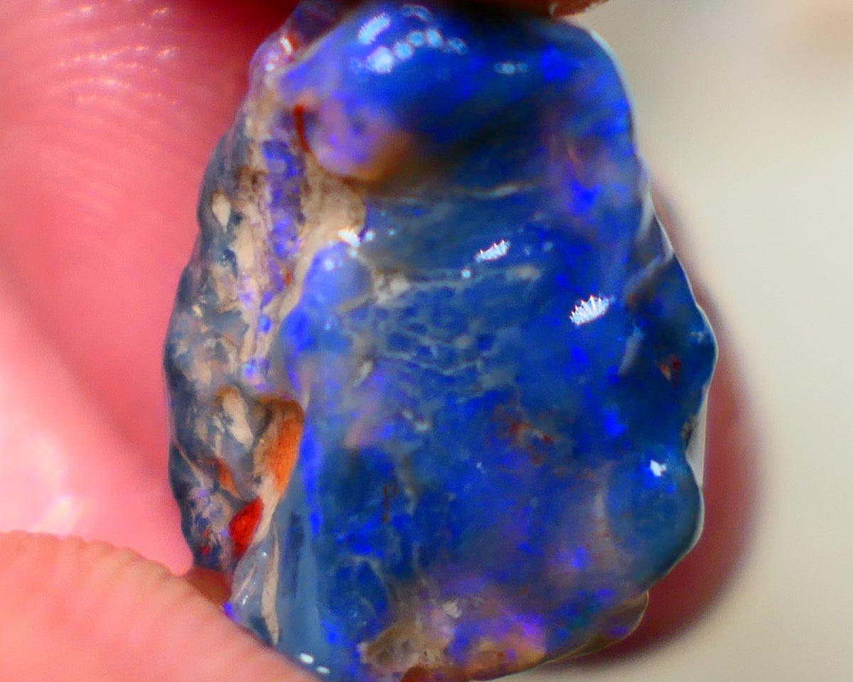 Lightning Ridge Rough Black Knobby opal fresh from the wash 9.00cts Showing Bright & Vibrant Blue fires 17x10x8mm Auction128