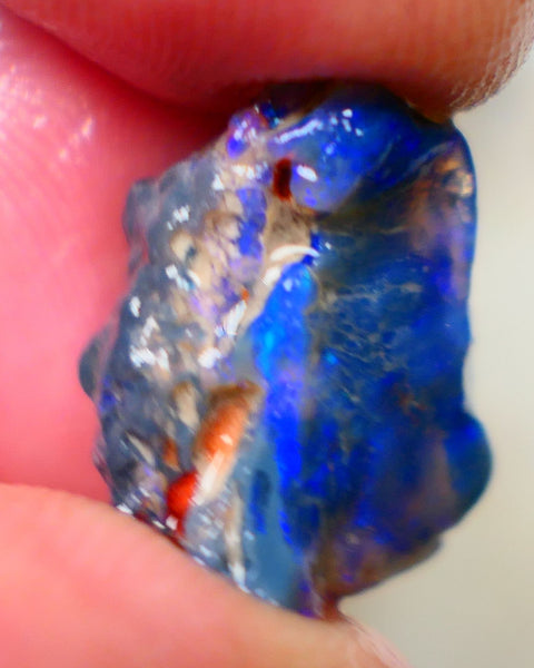 Lightning Ridge Rough Black Knobby opal fresh from the wash 9.00cts Showing Bright & Vibrant Blue fires 17x10x8mm Auction128