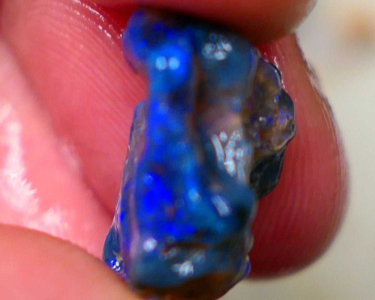 Lightning Ridge Rough Black Knobby opal fresh from the wash 9.00cts Showing Bright & Vibrant Blue fires 17x10x8mm Auction128