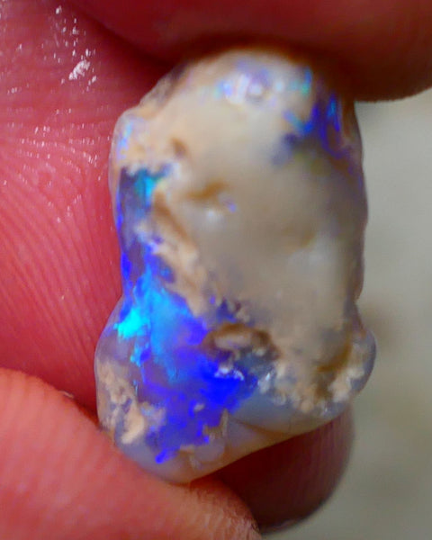 Lightning Ridge Rough Knobby opal 6.15cts Dark Base Showing Bright Blues in the bar 18x11x6mm to Gamble Auction126