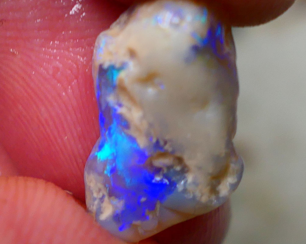 Lightning Ridge Rough Knobby opal 6.15cts Dark Base Showing Bright Blues in the bar 18x11x6mm to Gamble Auction126