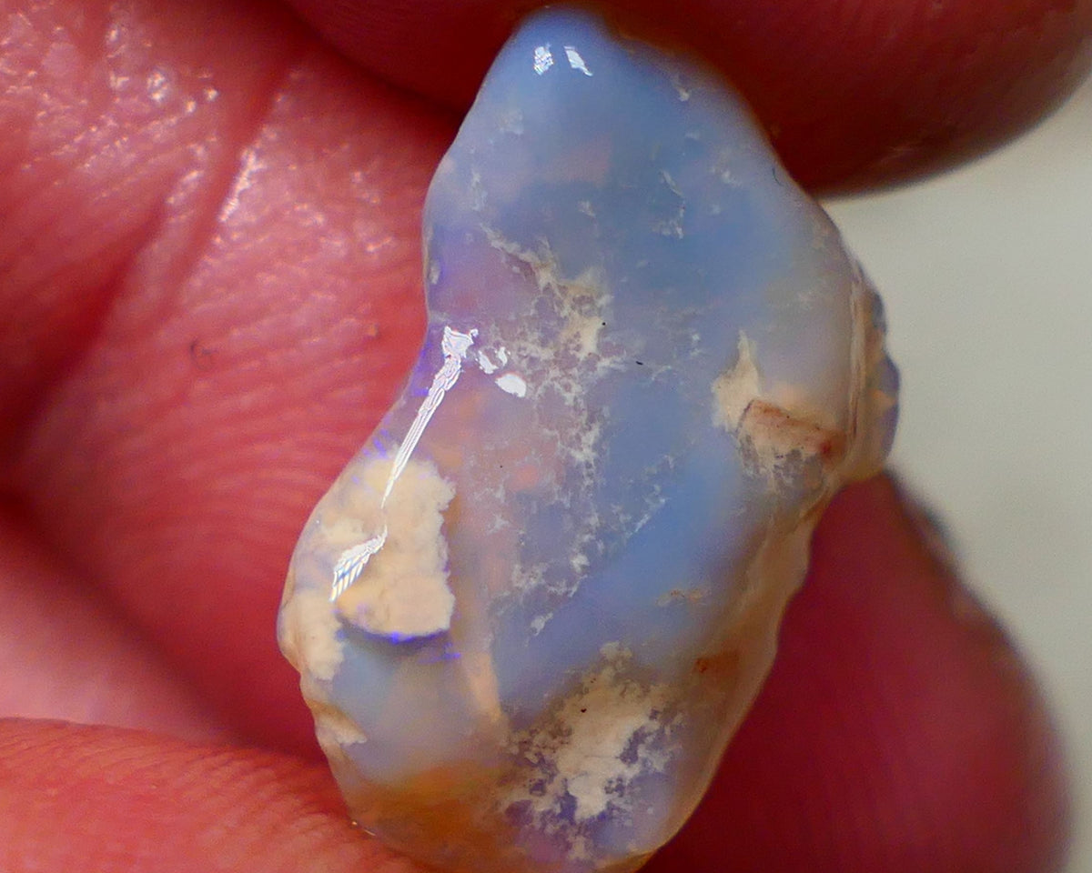 Lightning Ridge Rough Knobby opal 6.15cts Dark Base Showing Bright Blues in the bar 18x11x6mm to Gamble Auction126