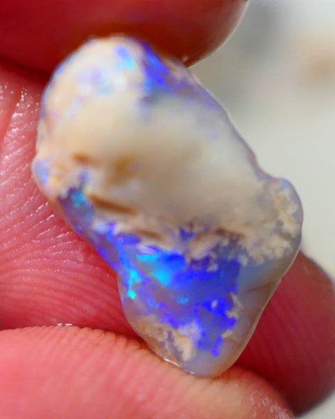 Lightning Ridge Rough Knobby opal 6.15cts Dark Base Showing Bright Blues in the bar 18x11x6mm to Gamble Auction126