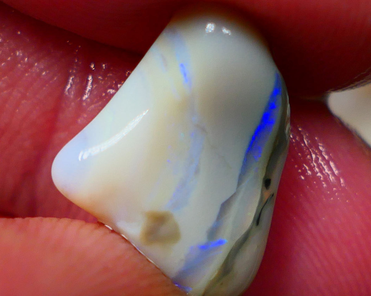 Lightning Ridge Rough Seam opal fresh from the wash 5.5cts Showing a Bright blue bar to chase 15x12x7mm Auction122