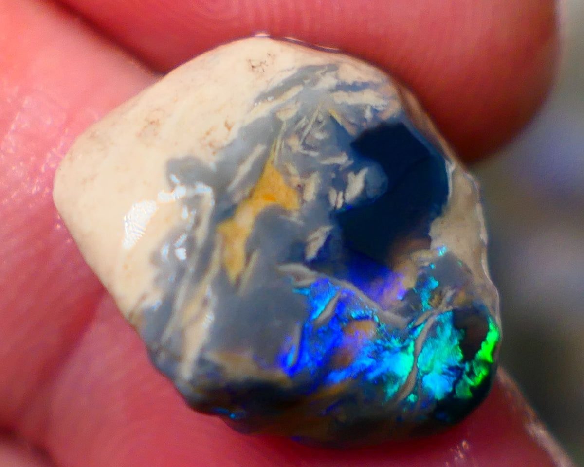 Lightning Ridge Black knobby opal formation Rub Rough 11.25cts Wow Very exotic with some Broad zones of colour Blue/Green/Teal/Yellow 18x16x8mm Auction156