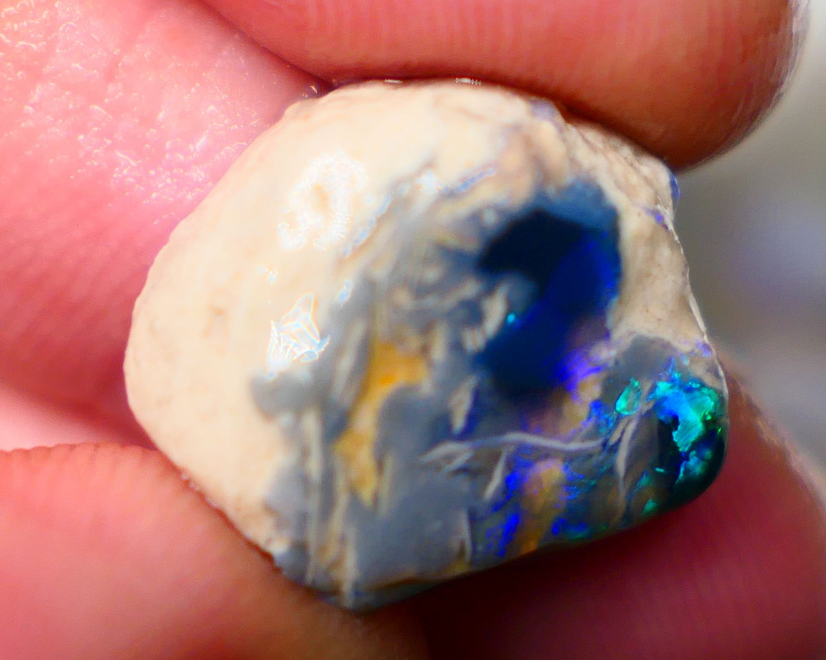 Lightning Ridge Black knobby opal formation Rub Rough 11.25cts Wow Very exotic with some Broad zones of colour Blue/Green/Teal/Yellow 18x16x8mm Auction156