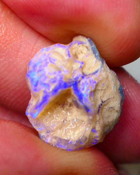 Lightning Ridge Untouched Crystal Knobby opal 8.15cts Vivid Vibrant Electric BLues showing through out suit being carved 17x15x5mm Auction155