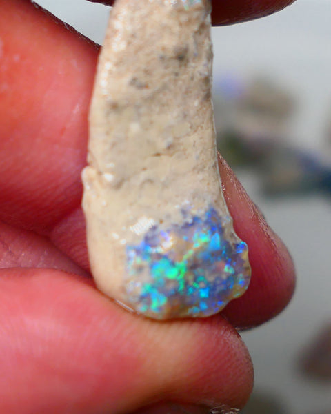 Lightning Ridge Dark Base Crystal knobby opal formation rough 13.50cts Showing nice Blue/green tones of colour 30x12x7mm Auction150