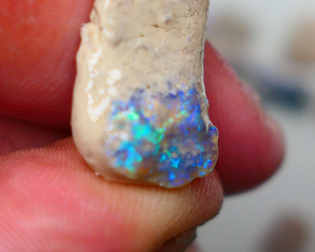 Lightning Ridge Dark Base Crystal knobby opal formation rough 13.50cts Showing nice Blue/green tones of colour 30x12x7mm Auction150