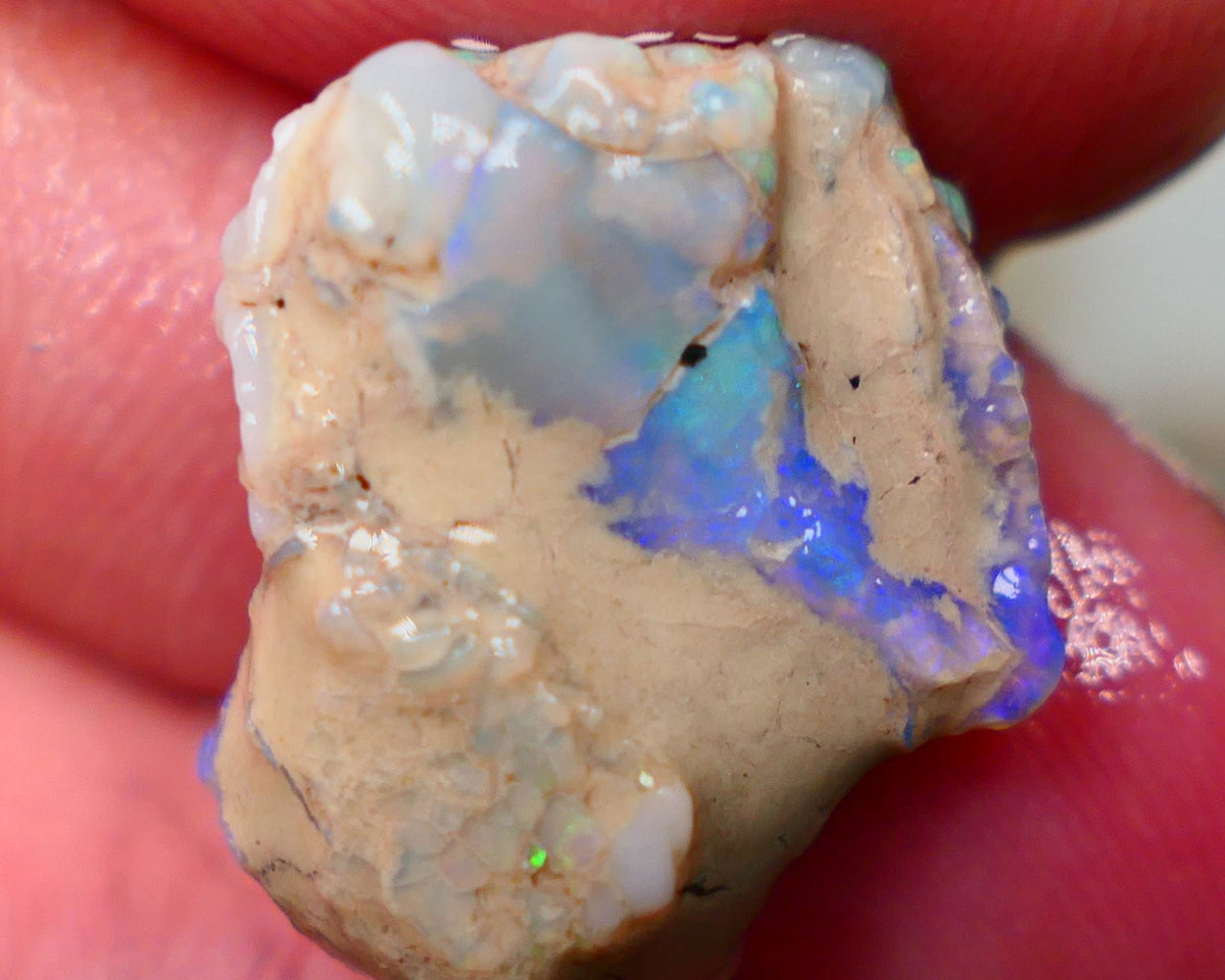 Lightning Ridge Rough opal formation 13.80cts Untouched Displaying lovely Multi colours See video  20x16x8mm Auction146