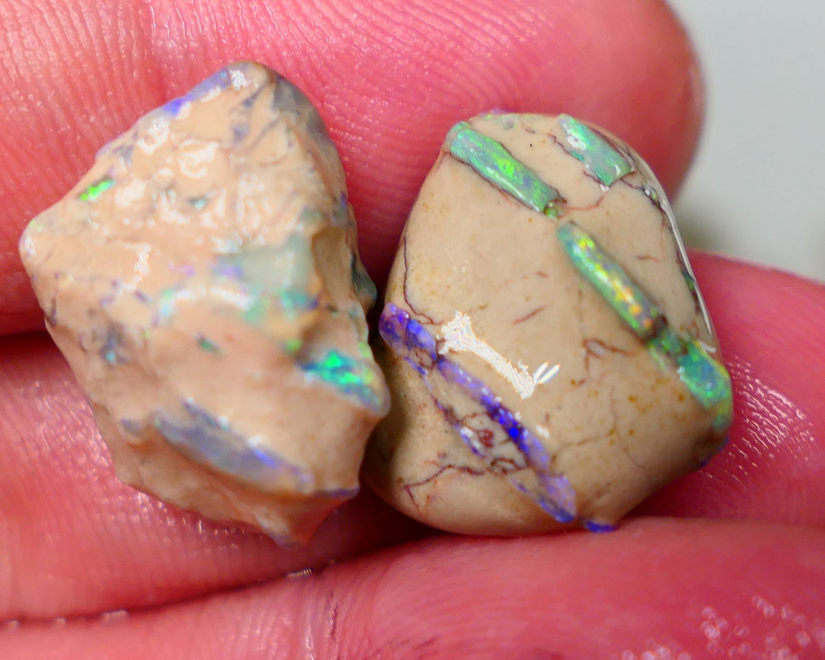 Lightning Ridge Rough Bling Exotic Knobby opal formation rough pair 29.00cts Very Bright Stunning Multicolours showing in the various bars/veins 18x14x13mm & 17x17x8mm Auction141