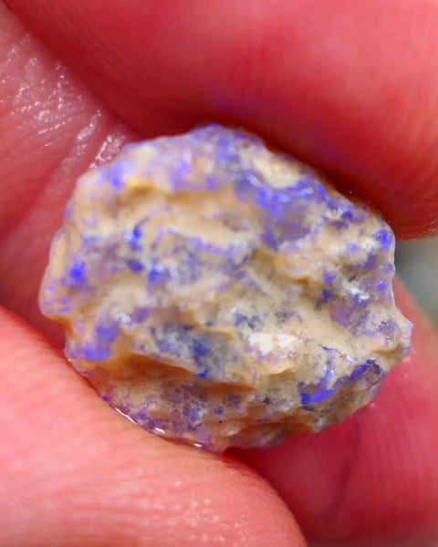 Crystal base untouched knobby opal rough 6.25cts Showing Bright blues through the skin to gamble 16x14x5mm Auction166