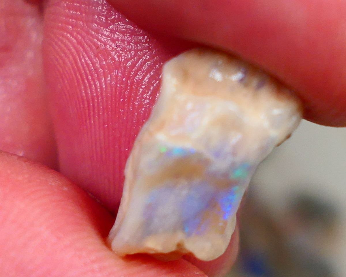 Light opal formation rough L/Ridge 5.50cts Sold as gamble showing some blue/green flashes of fires 17x9x6mm Auction165