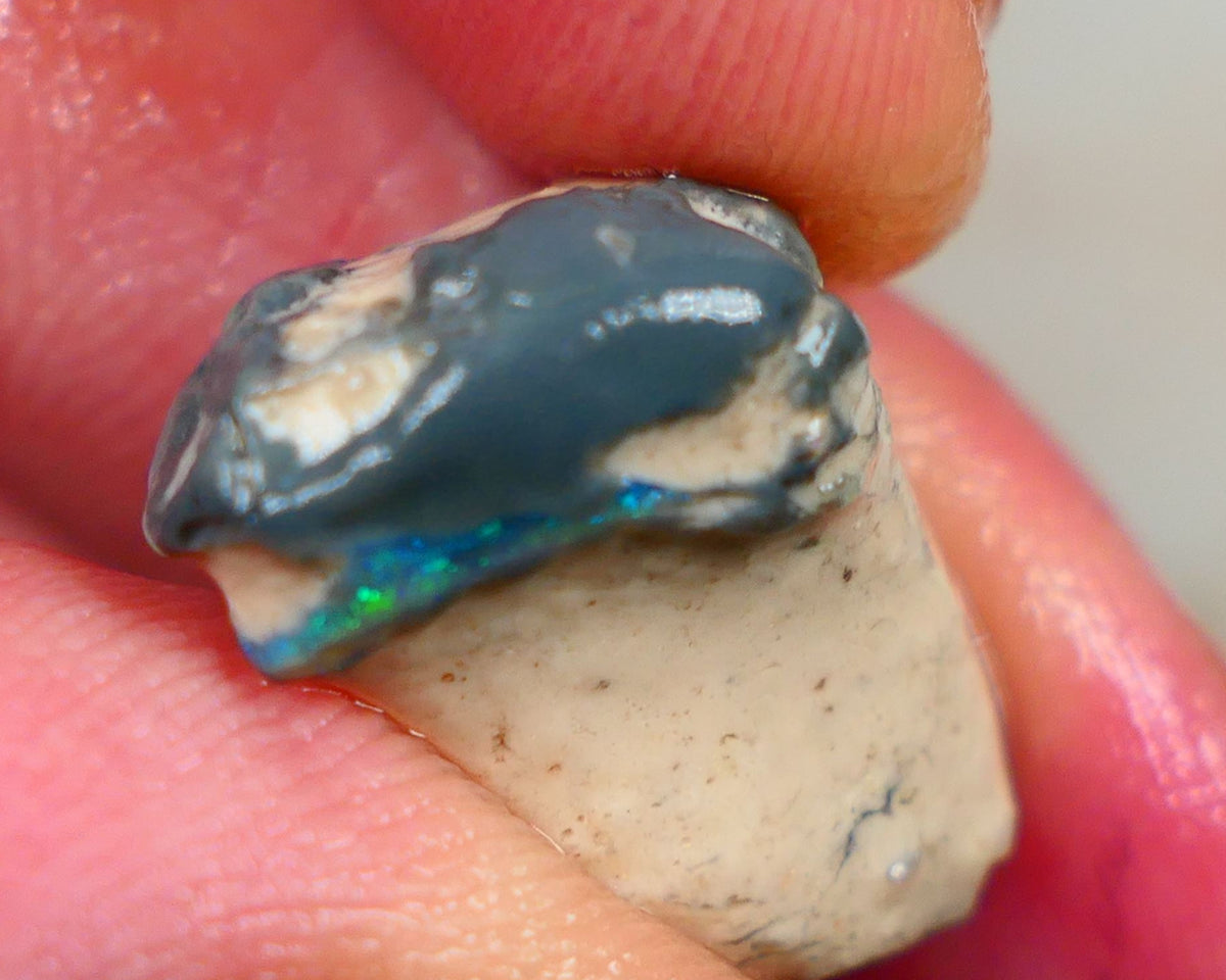 Dark base Seam opal formation rough L/Ridge 13.50cts Blue/Green Fires note the sand/clay host rock 20x14x12mm Auction164