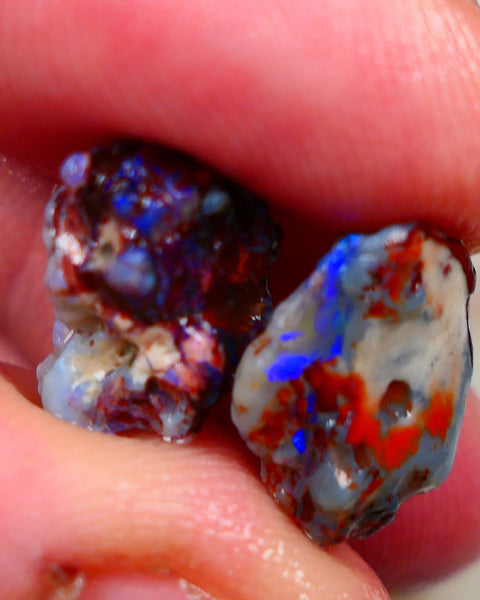 Lightning Ridge Rough Dark Base knobby opal rough pair 10.50cts Both displaying Bright blue fires to gamble 15x10x6mm & 13x10x8mm Auciton162