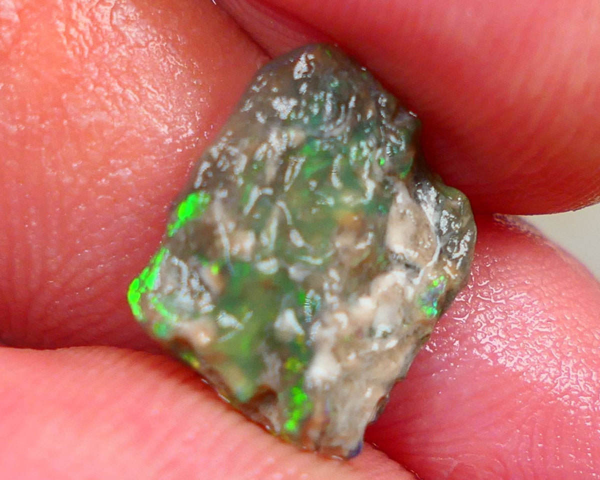 Millions of years in the Making a Lightning Ridge Opalised wood fossil untouched 2.70cts Bright Yellow/Green dominant M.fires sat on dark base 12x11x4mm Auction161