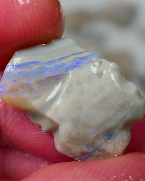 Mintabie Grey base seam opal rough 9.75cts Multiple bars carrying blues fires to explore Sold as Gamble 21x14x5mm Auciton190