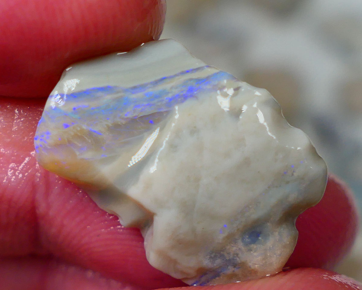 Mintabie Grey base seam opal rough 9.75cts Multiple bars carrying blues fires to explore Sold as Gamble 21x14x5mm Auciton190