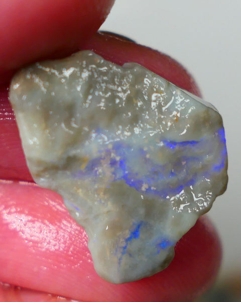 Mintabie Dark base seam opal rough 8.75cts Showing Bright blues throughout 21x18x5mm Auction194