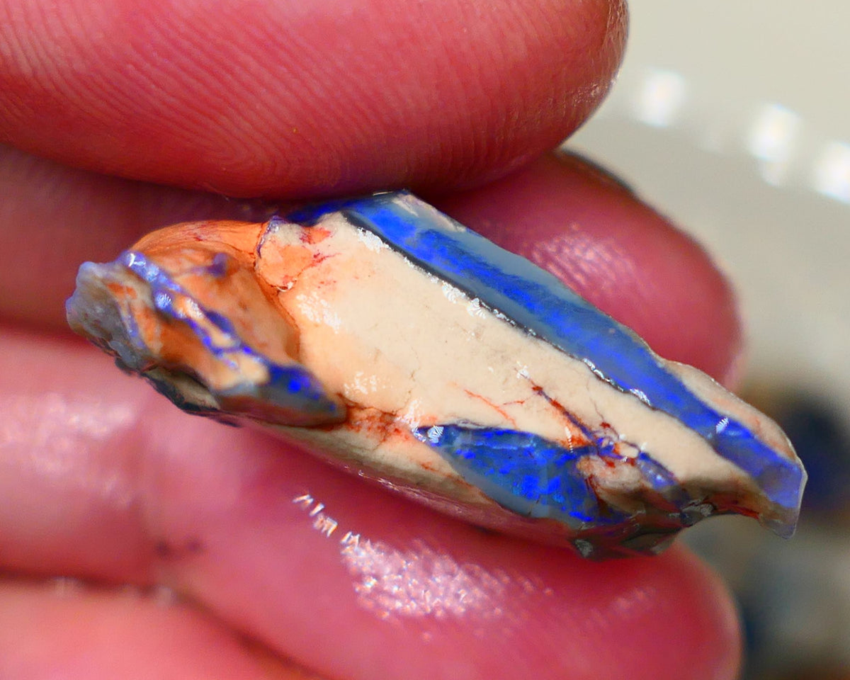 Lightning Ridge Dark base seam opal fresh from the mine walls 21.00cts Gorgeous Blue fires 29x17x11mm Auction179