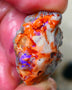 Lightning Ridge dark base knobby opal 29.00cts Showing hints of Bright Blue fires to gamble 29x20x10mm Auction177