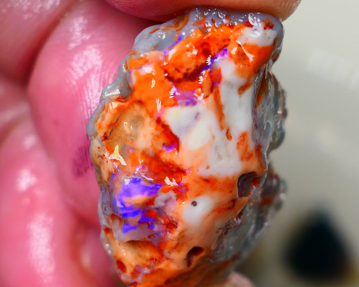 Lightning Ridge dark base knobby opal 29.00cts Showing hints of Bright Blue fires to gamble 29x20x10mm Auction177