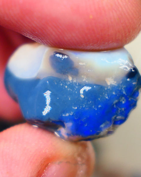 Lightning Ridge Knobby opal rough 37.80cts Blue fires sold as gamble Auction188