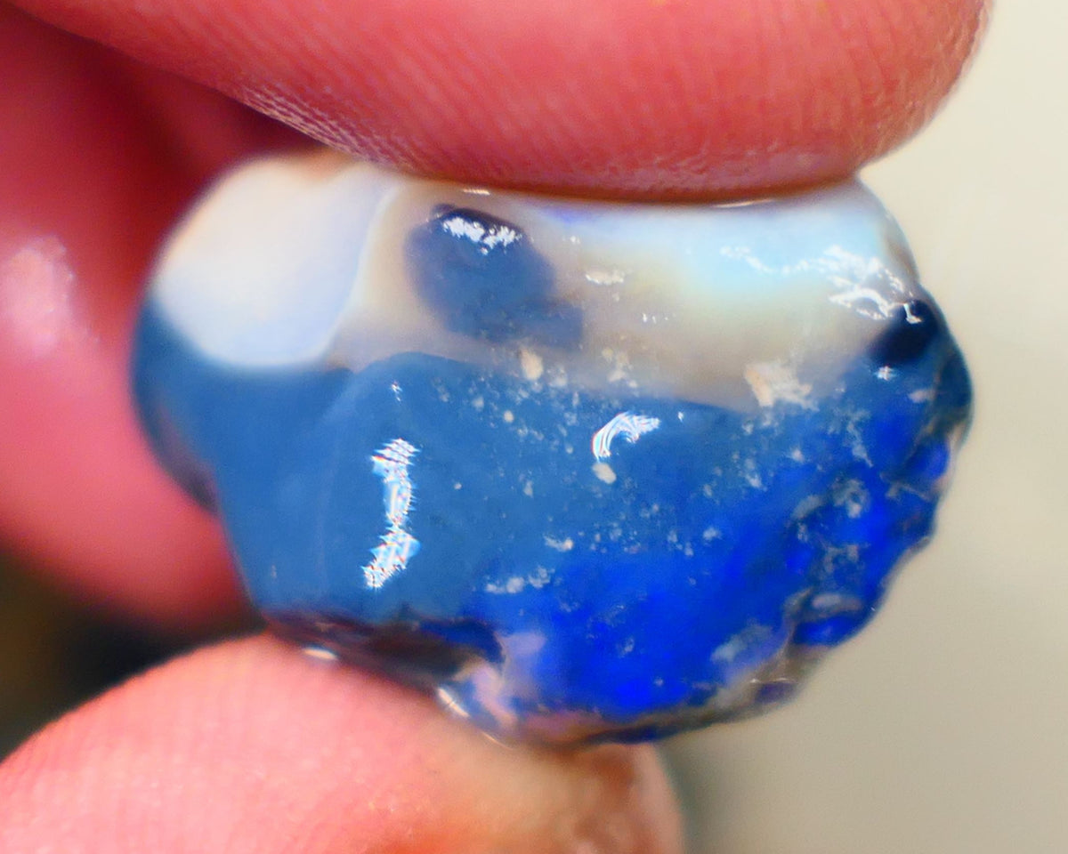 Lightning Ridge Knobby opal rough 37.80cts Blue fires sold as gamble Auction188