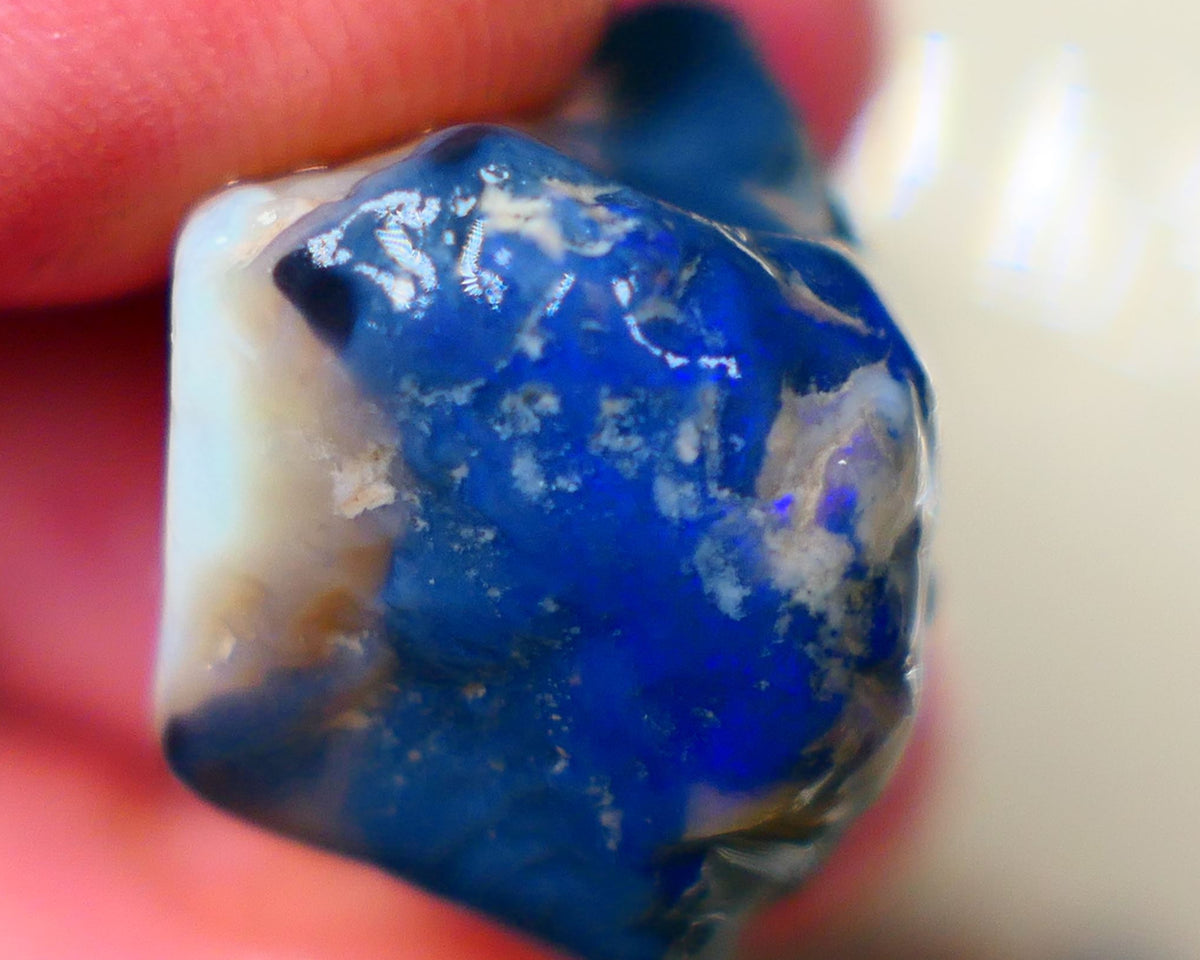 Lightning Ridge Knobby opal rough 37.80cts Blue fires sold as gamble Auction188