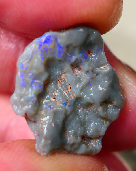 Lightning Ridge Dark base Witches hat knobby opal rough 10.50cts Bright Blue colours to gamble and explore 20x18x7mm Auction182