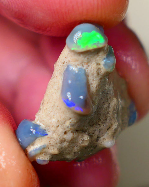 Lightning Ridge Amazing unique Seam opal formation rough 20.00cts Wow Amazing combination of various opal formations in one. Bright Multicolours 21x20x10mm Auciton184