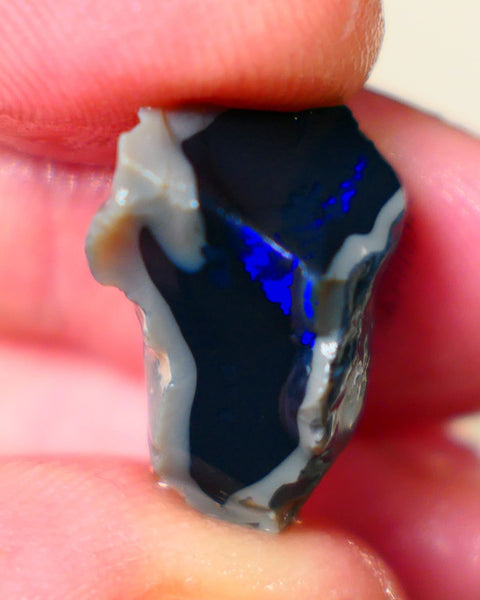 Lightning Ridge Jet Black N1 base seam opal rough 13.75cts Grogeous Vibrant Bright Royal Blues 20x14x13mm Auction185