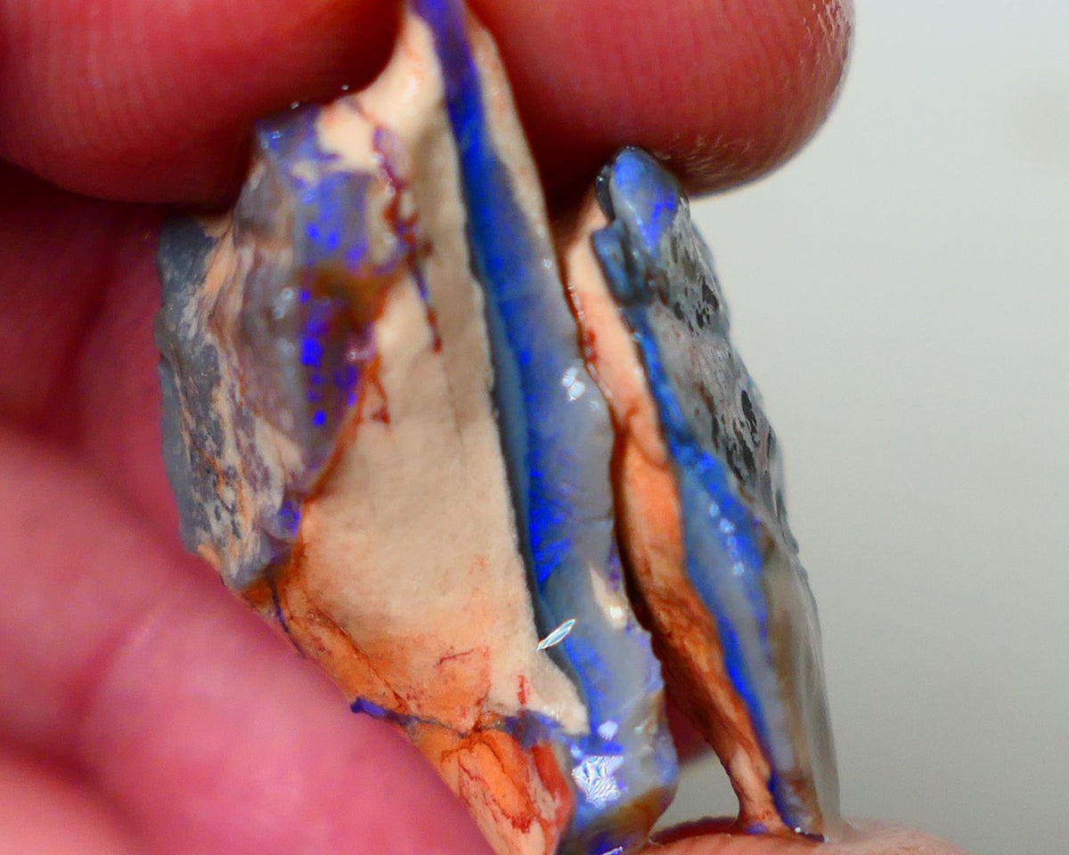 Lightning Ridge Dark base seam opals fresh from the mine walls 23.50cts Gorgeous Blue fires 28x14x10mm & 23x15x7mm Auction176